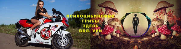 марки lsd Новодвинск