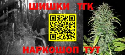 дживик Бийск