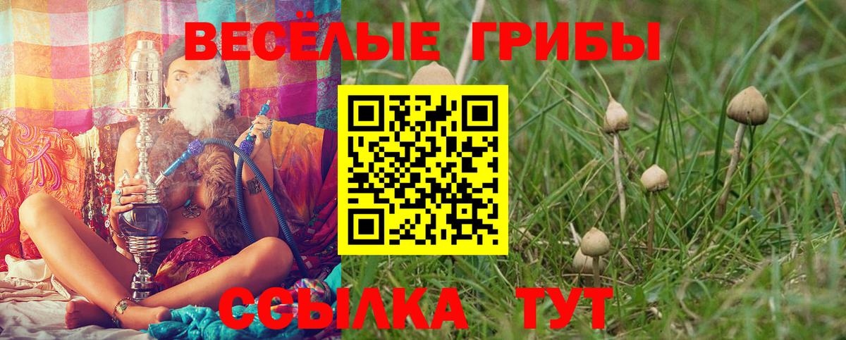 Верхняя Салда  Псилоцибиновые грибы GOLDEN TEACHER  Вход с VPN 